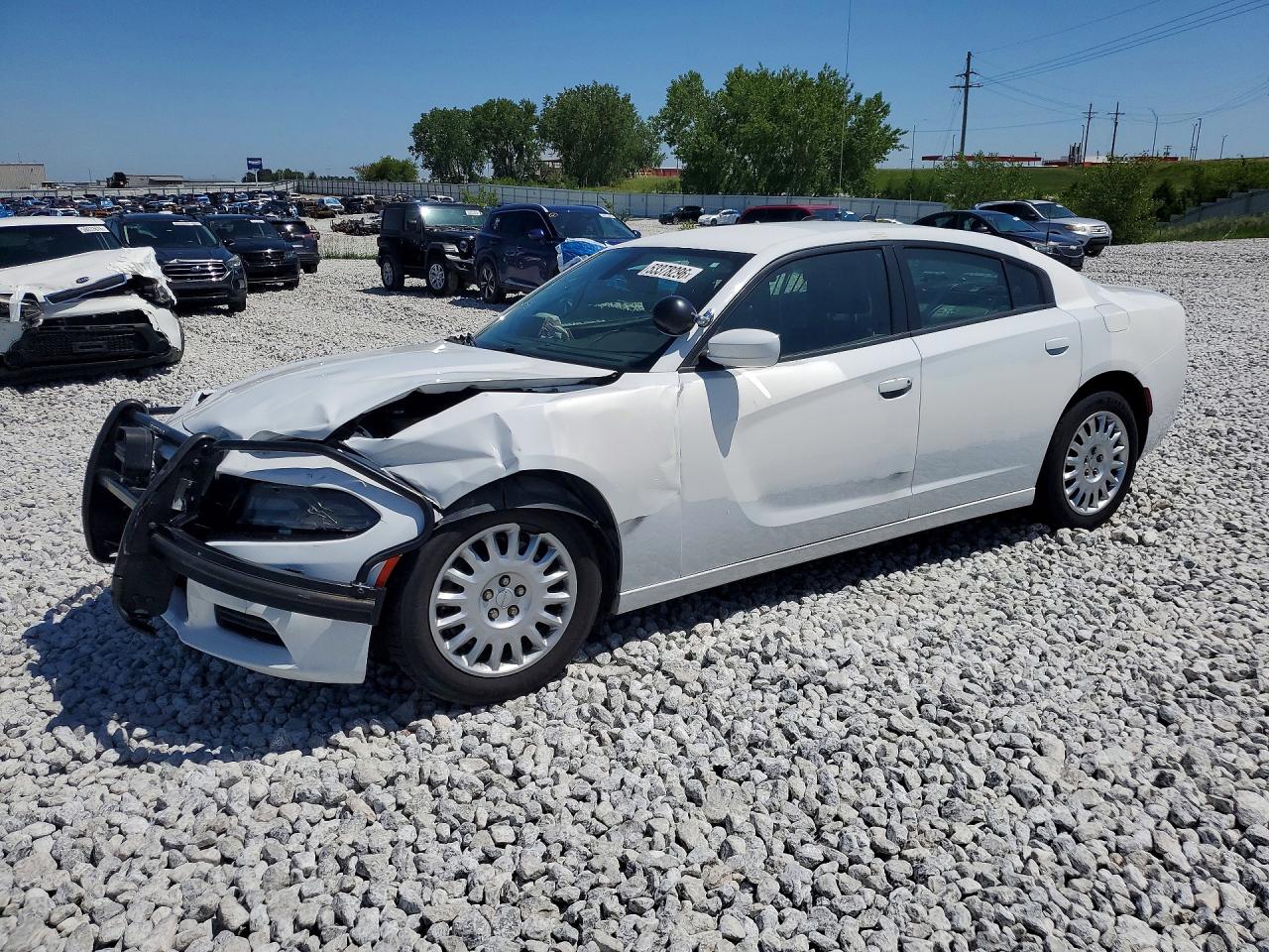 Salvage Dodge Charger Image