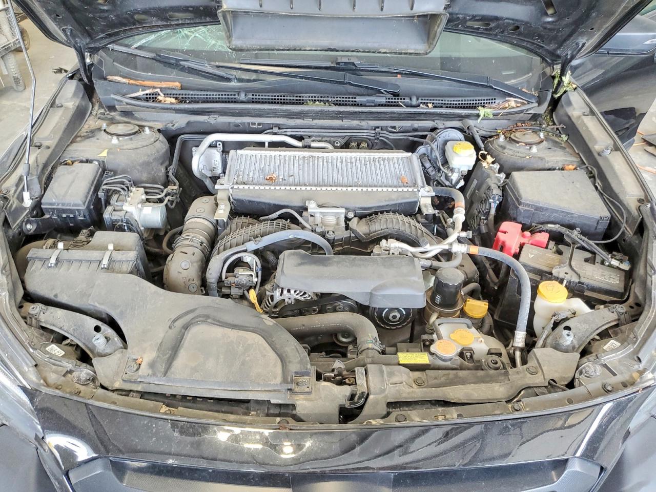 Subaru Outback Wilderness