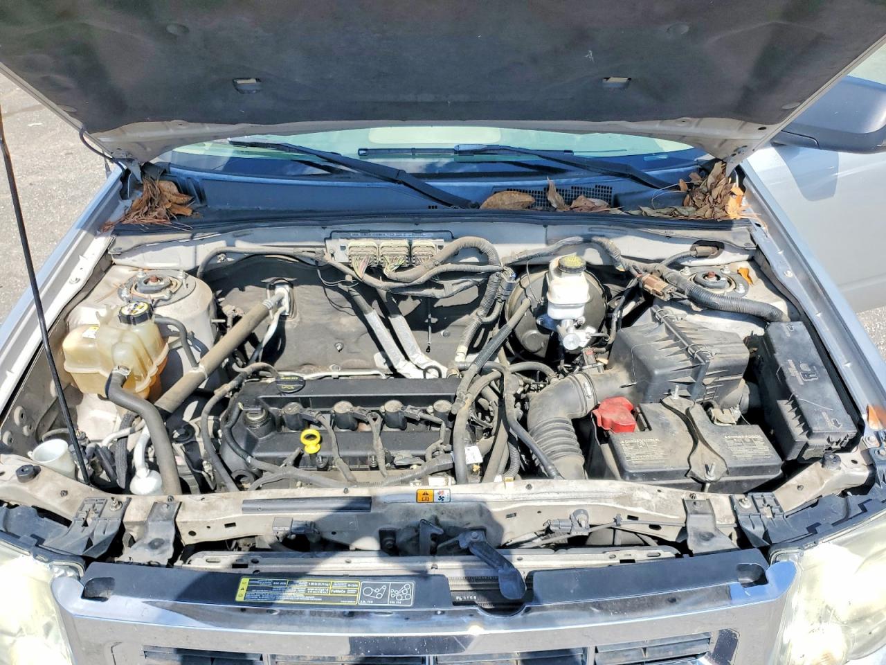 Ford Escape Xls