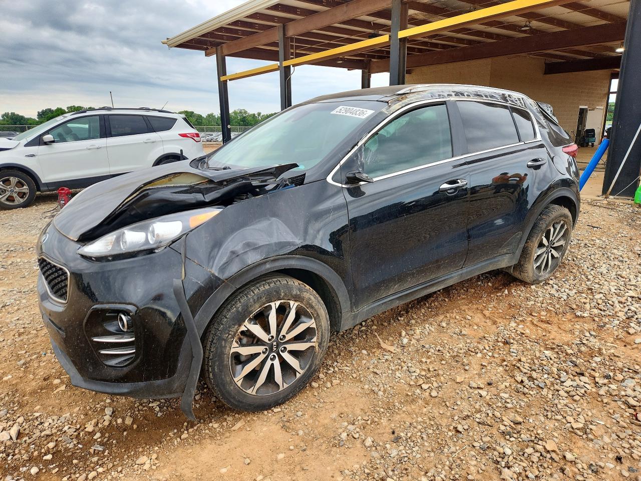 Salvage Kia Sportage Image