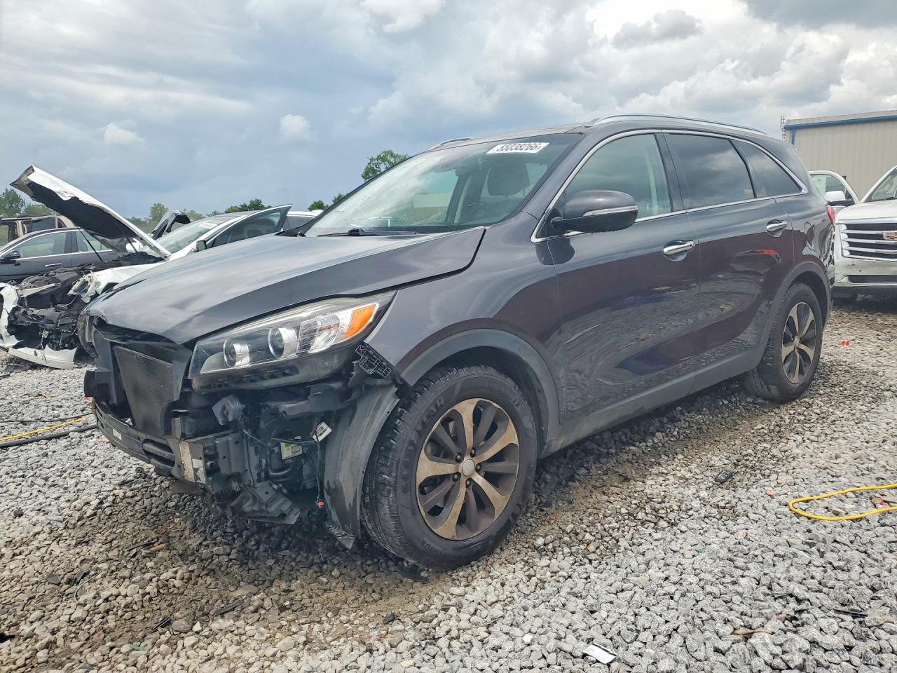 Salvage Kia Sorento Image