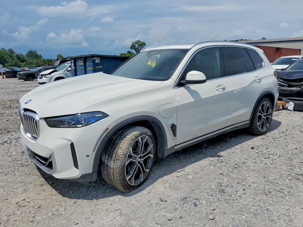 Salvage BMW X Series Image