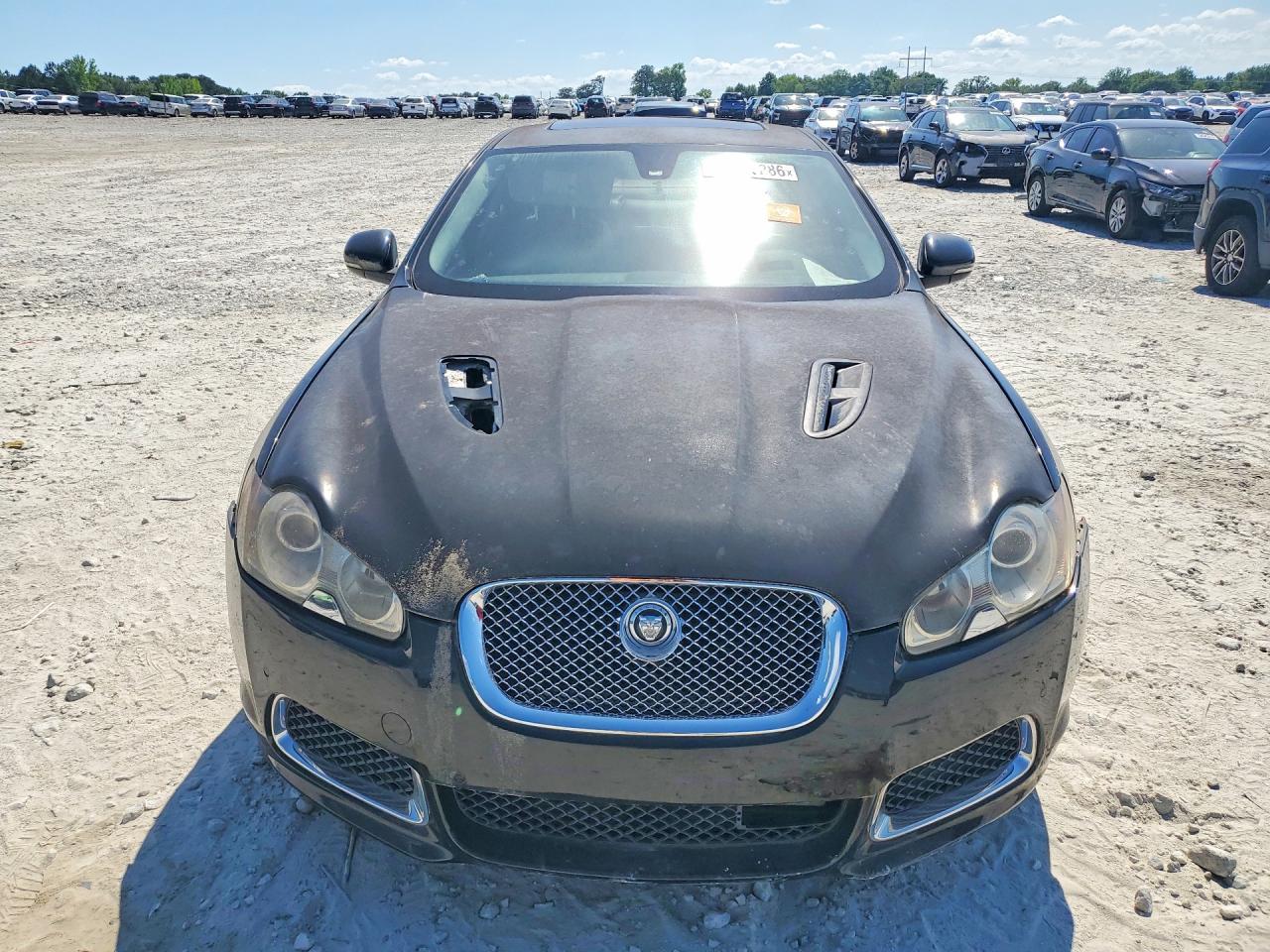 Jaguar XF R