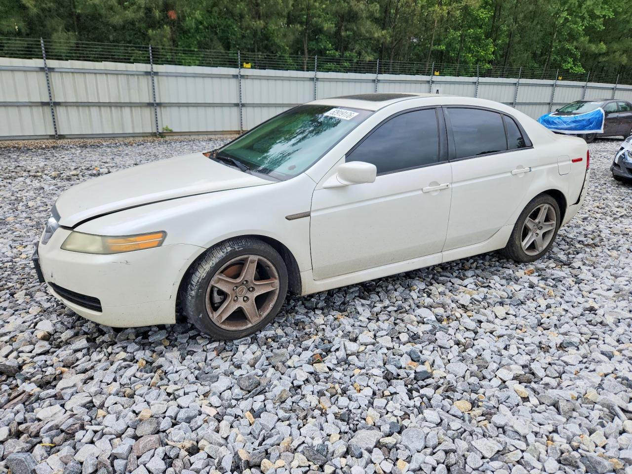 Salvage Acura TL Image