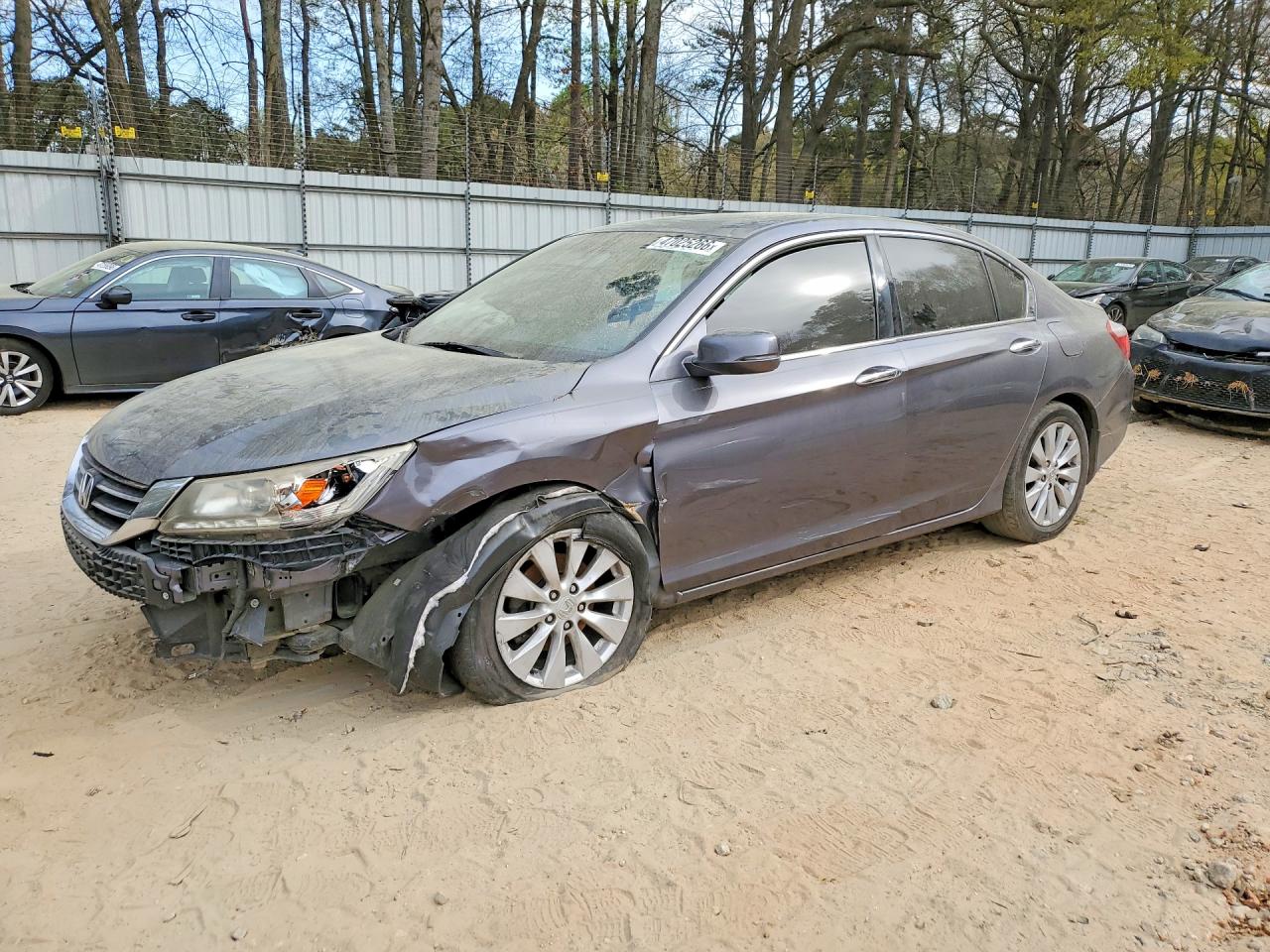 Salvage Honda Accord Image