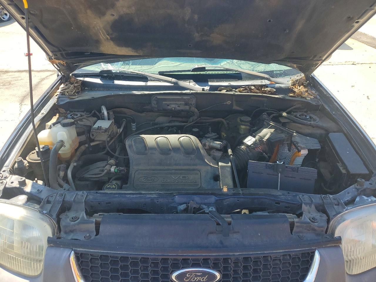 Ford Escape Xlt