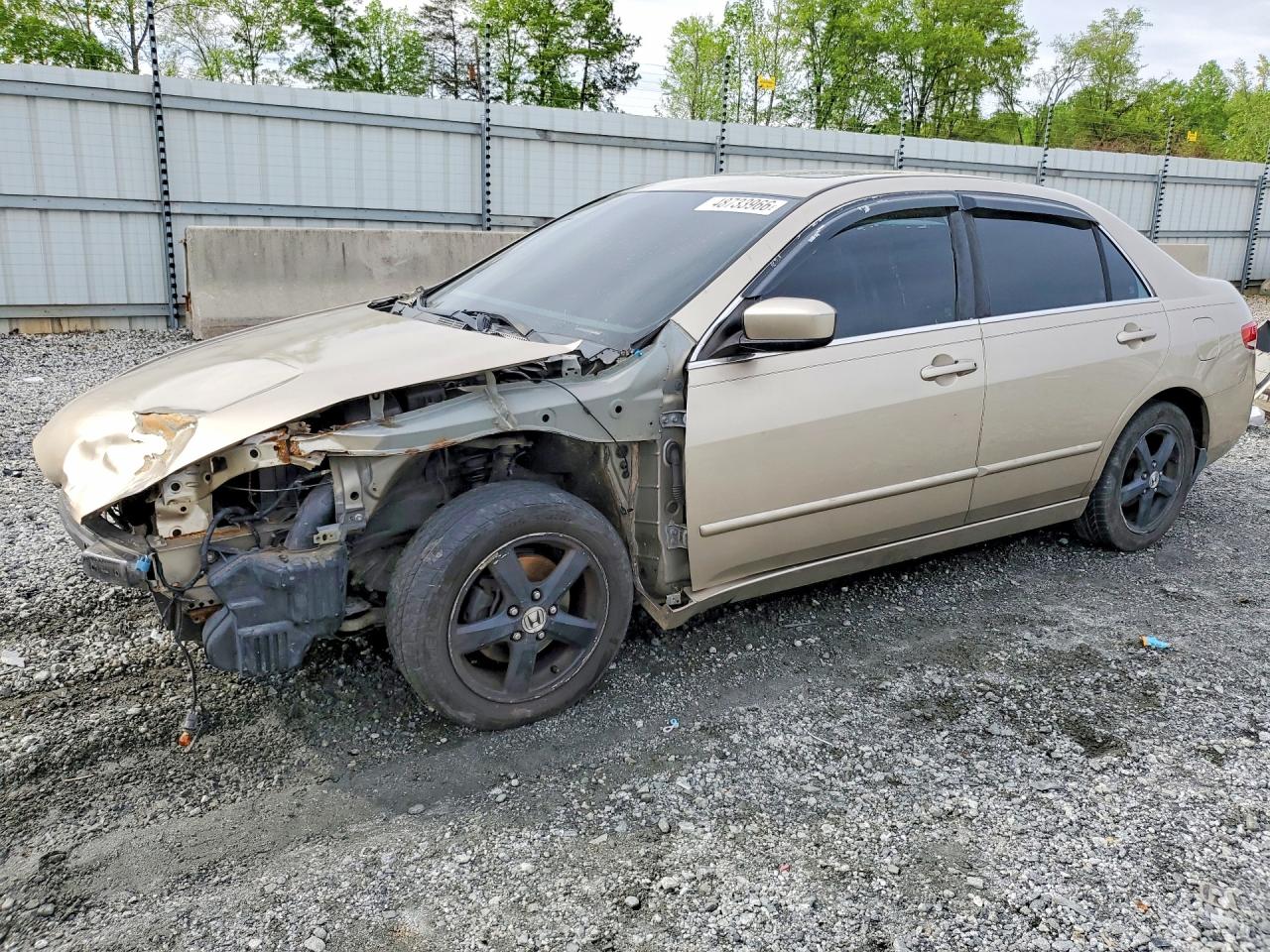 Salvage Honda Accord Image