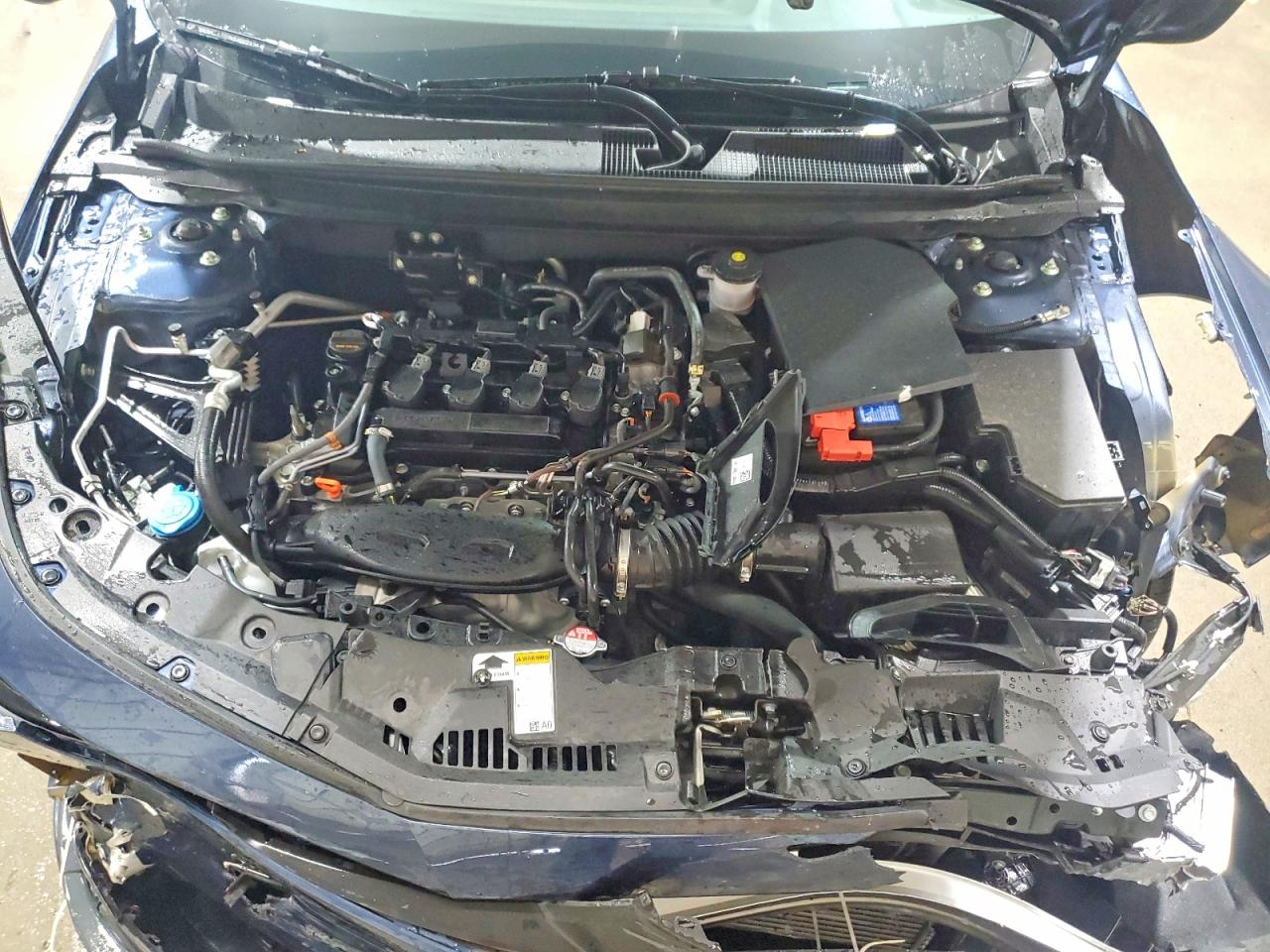Honda Accord Se