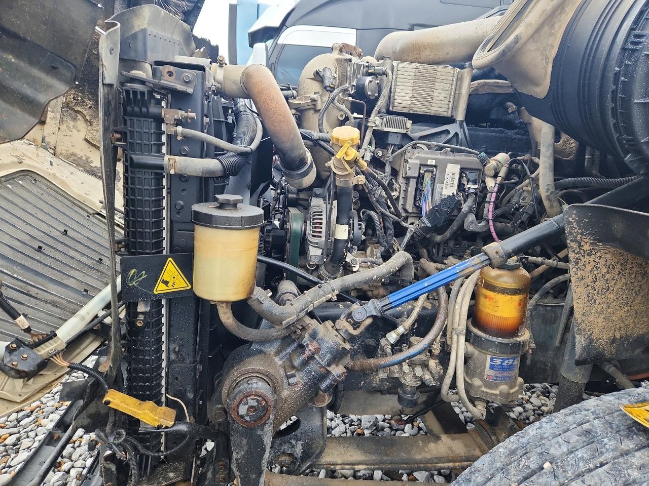 International Prostar