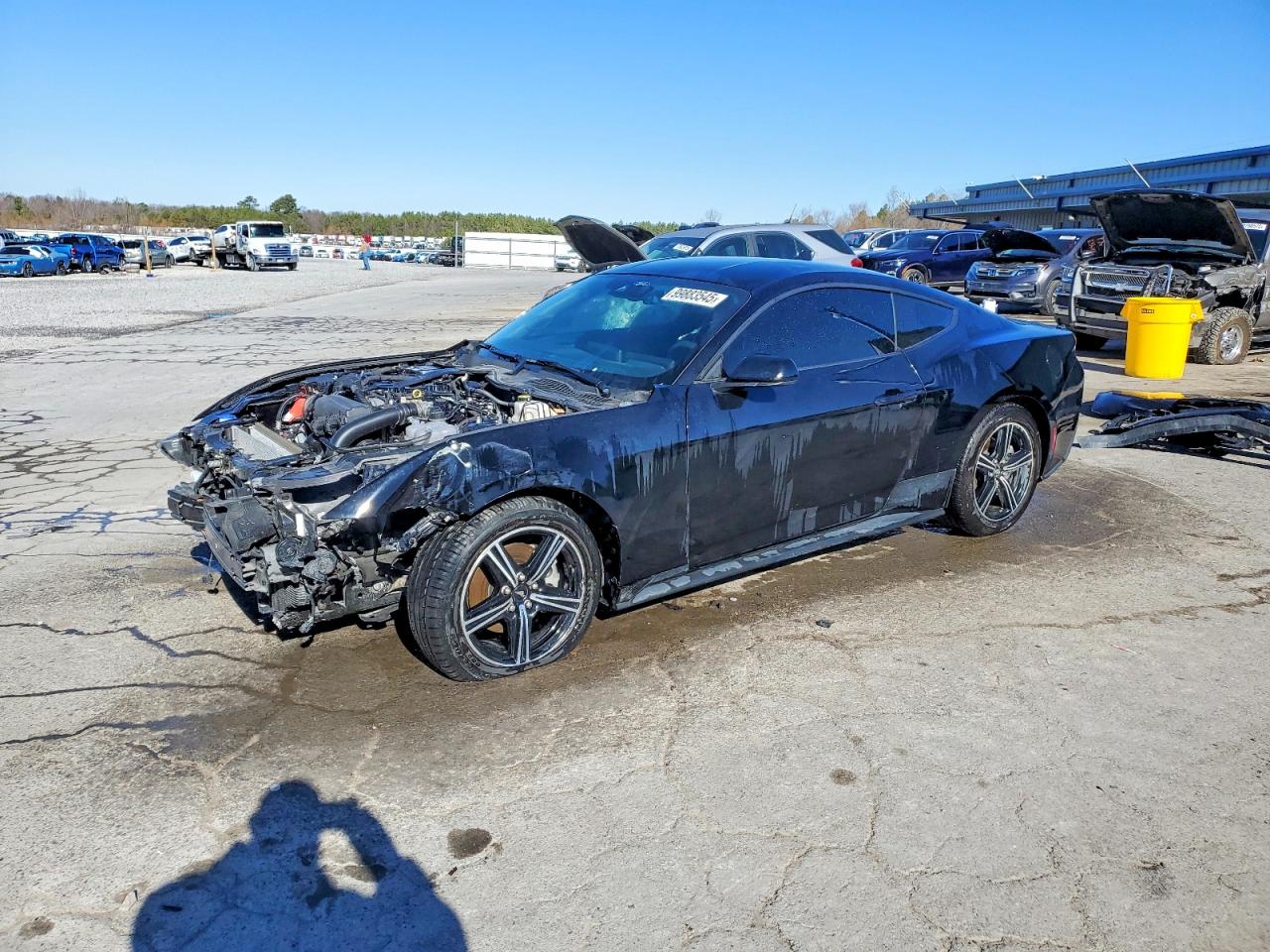 Salvage Ford Mustang Image