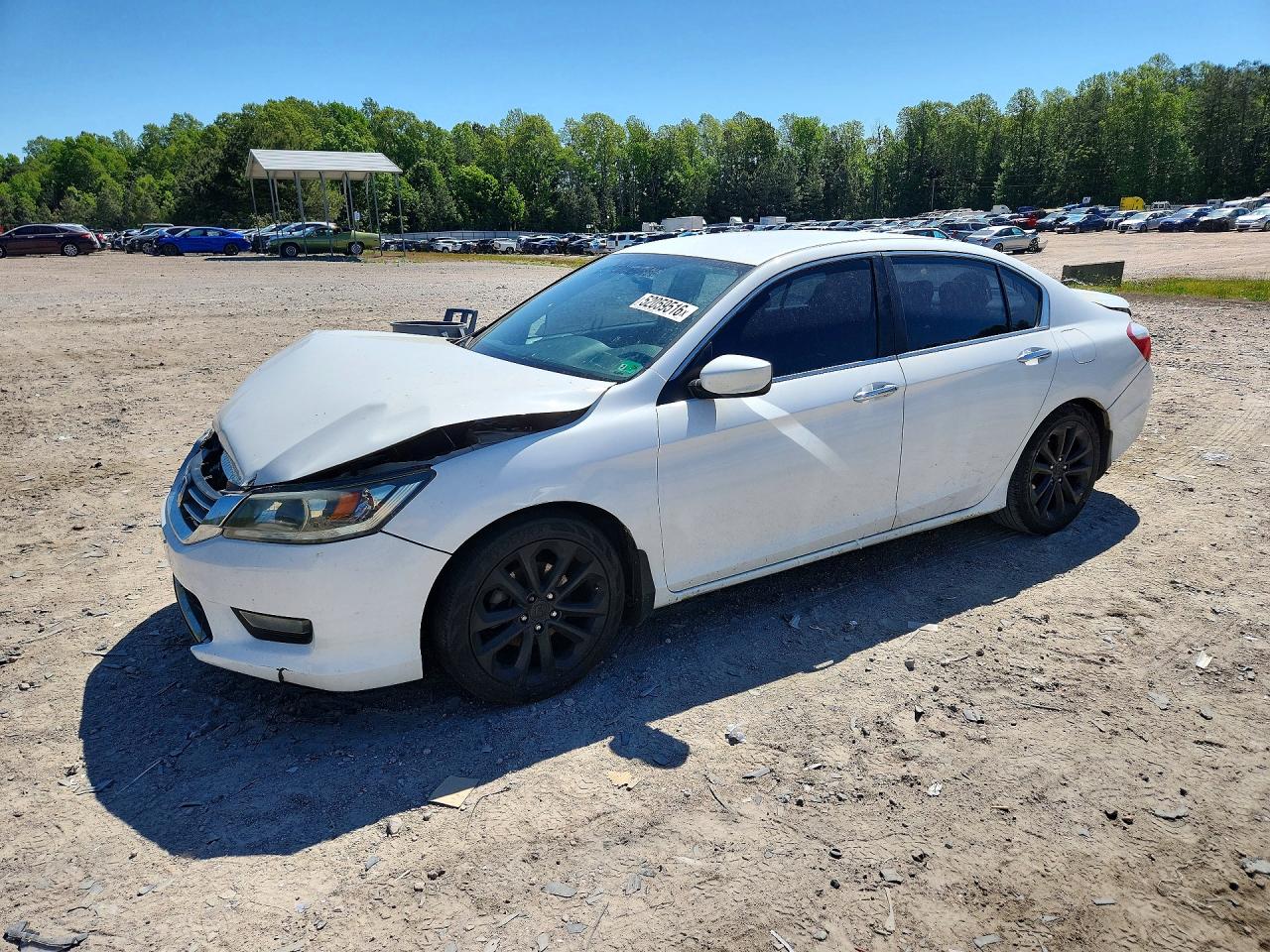 Salvage Honda Accord Image