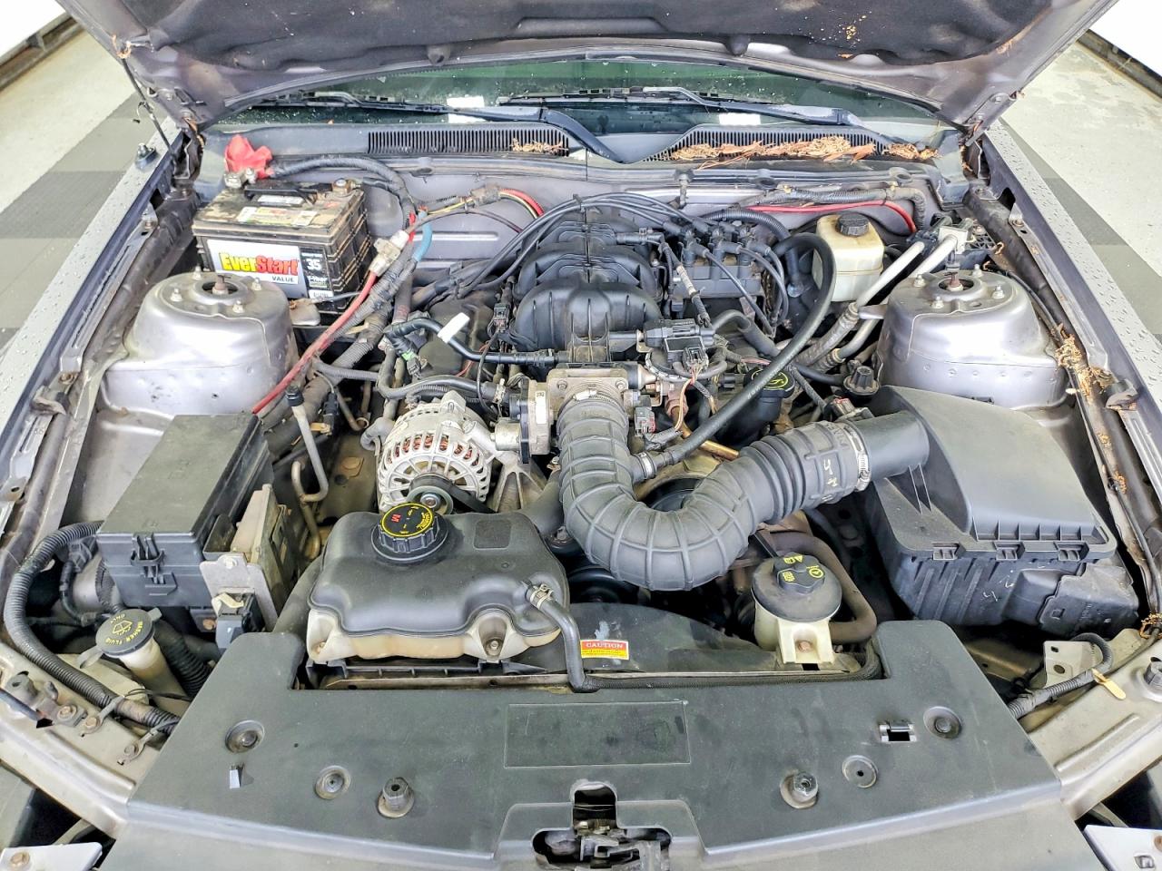 Ford Mustang V6 Coupe