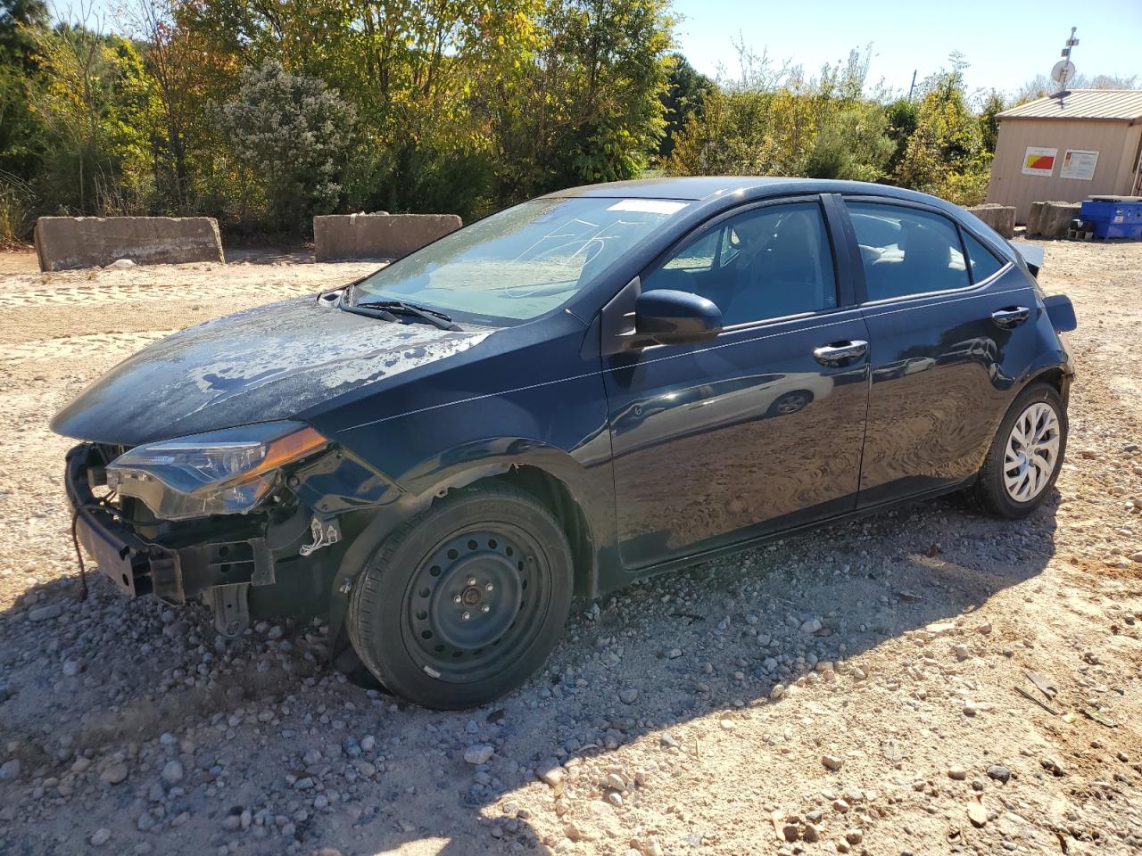 Salvage Toyota Corolla Image