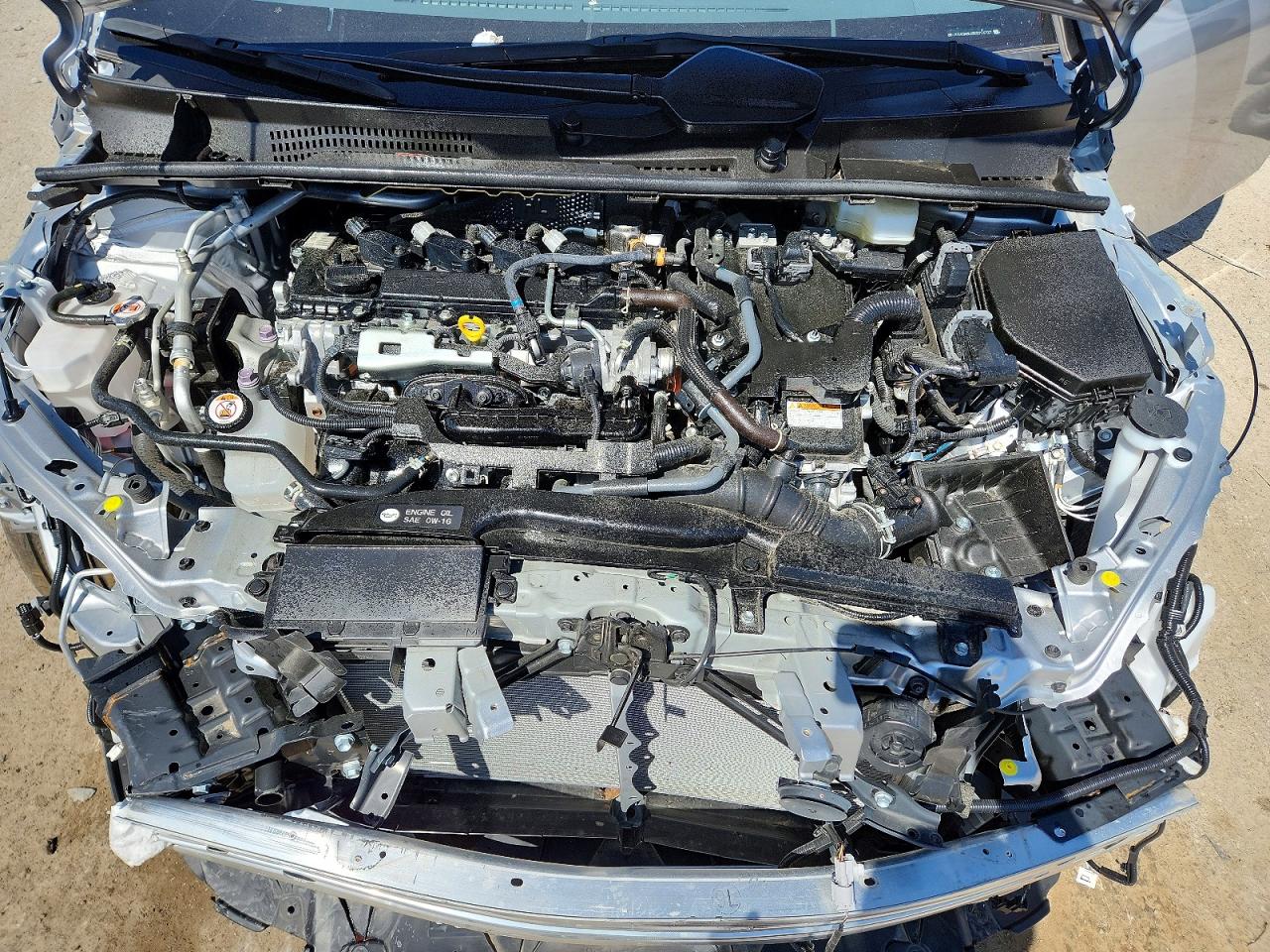 Toyota Prius Xle