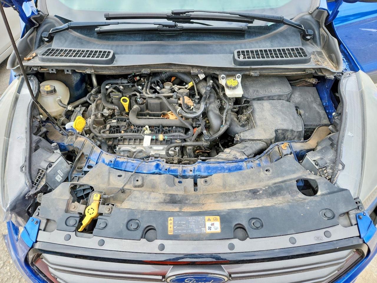Ford Escape Sel