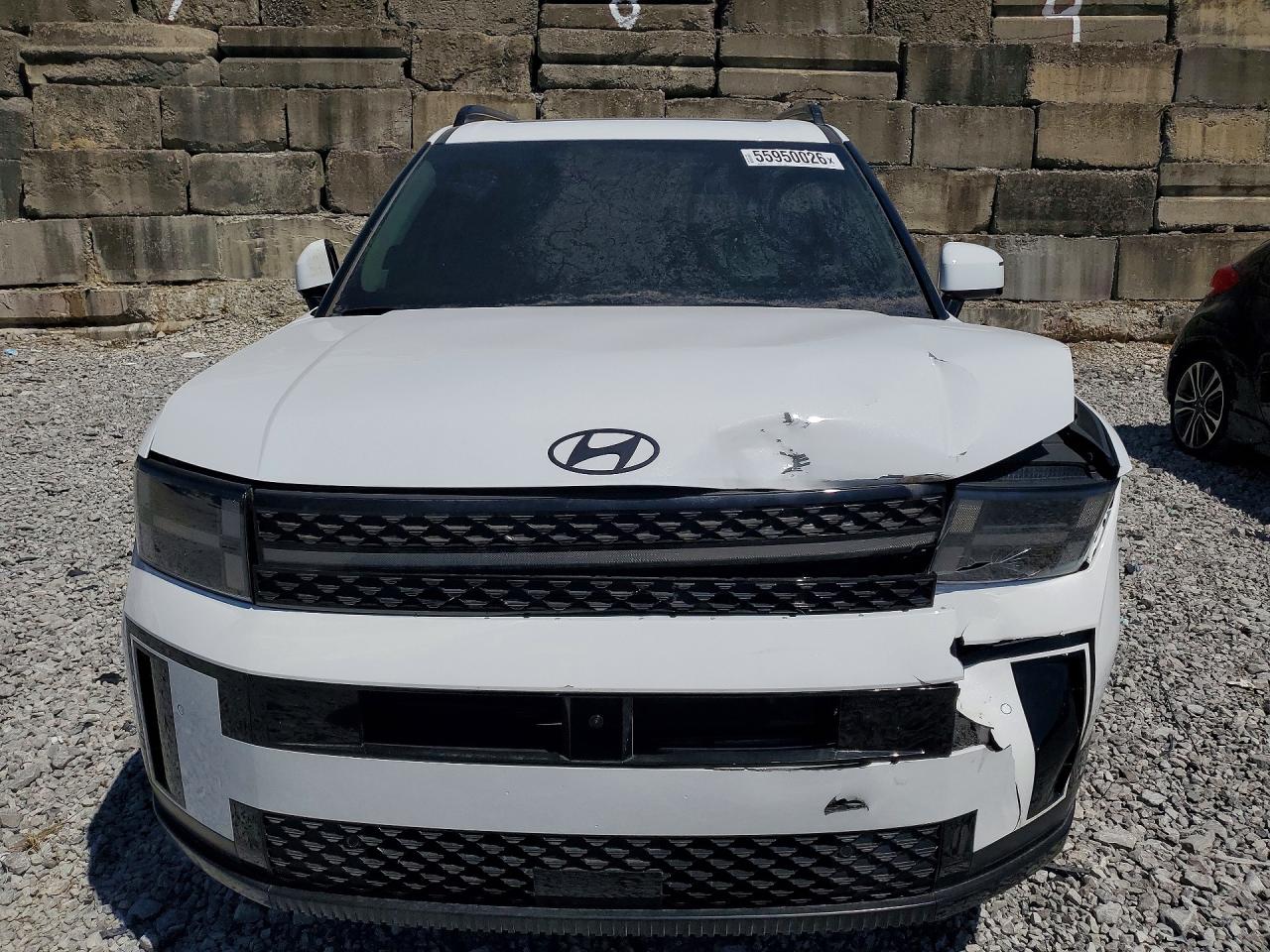Hyundai SANTA FE Calligraphy