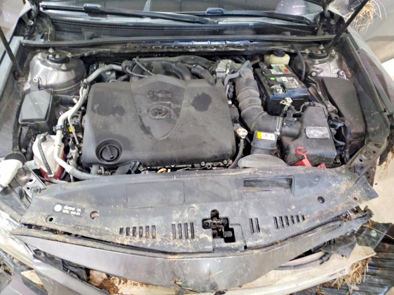 Toyota Camry Xle V6