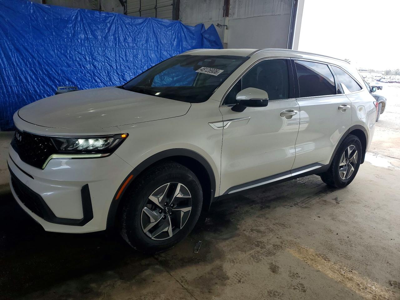 Salvage Kia Sorento Image