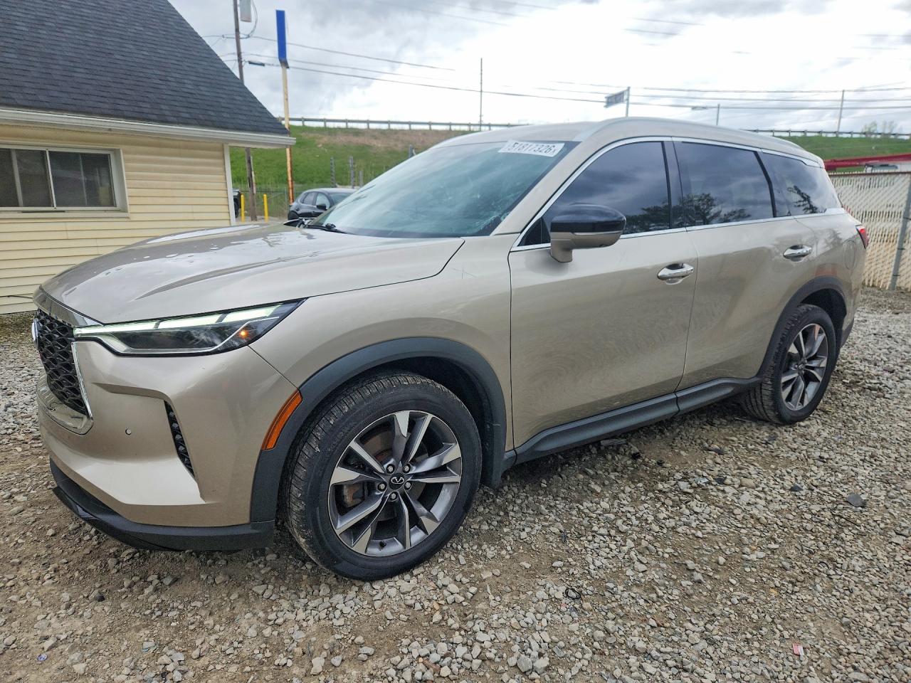 Salvage INFINITI Qx Image