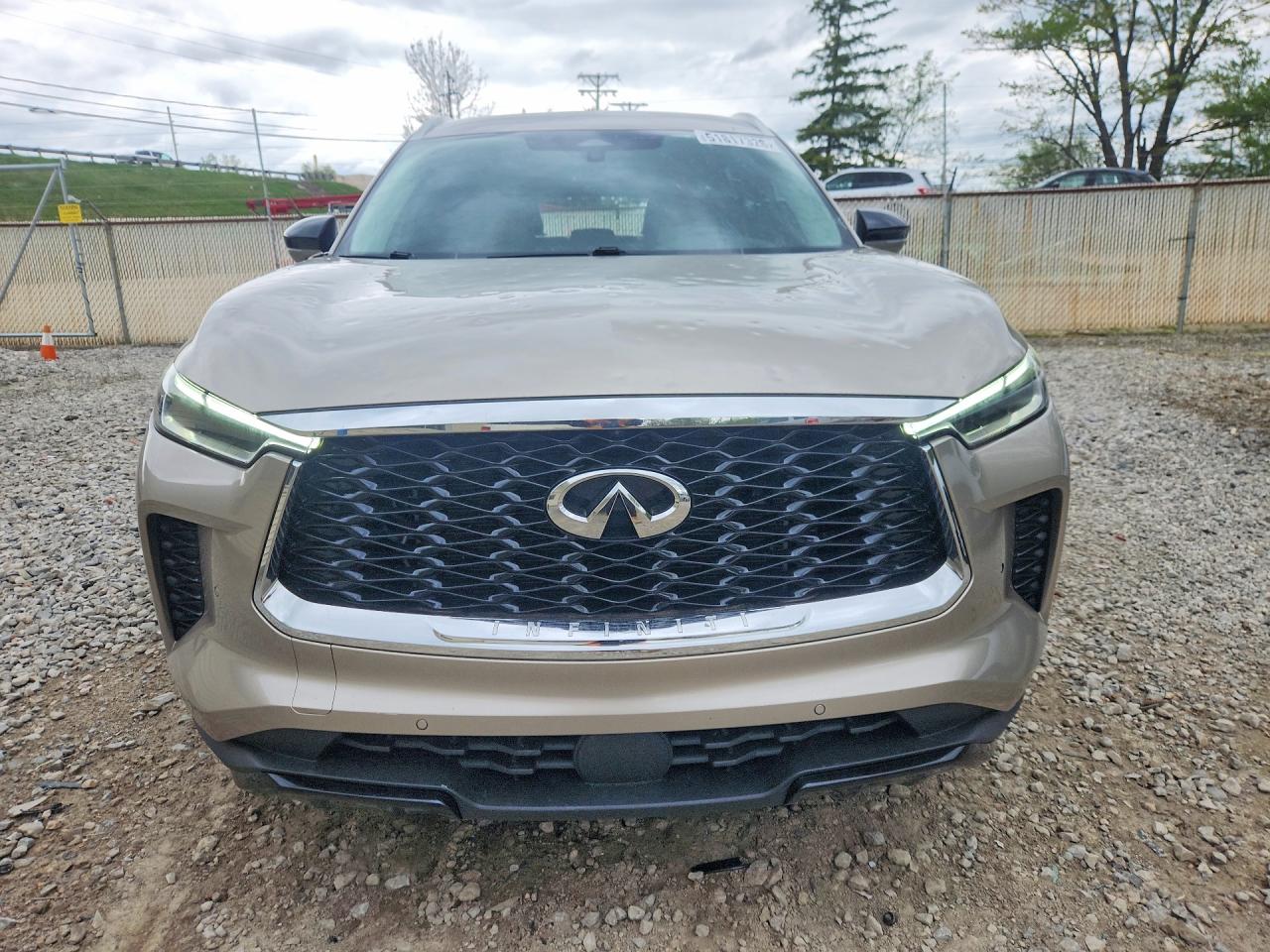 INFINITI Qx Luxe