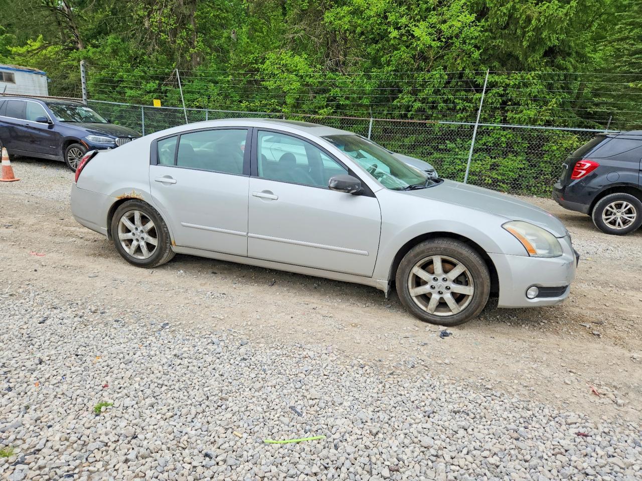 Nissan Maxima 3.5 Se