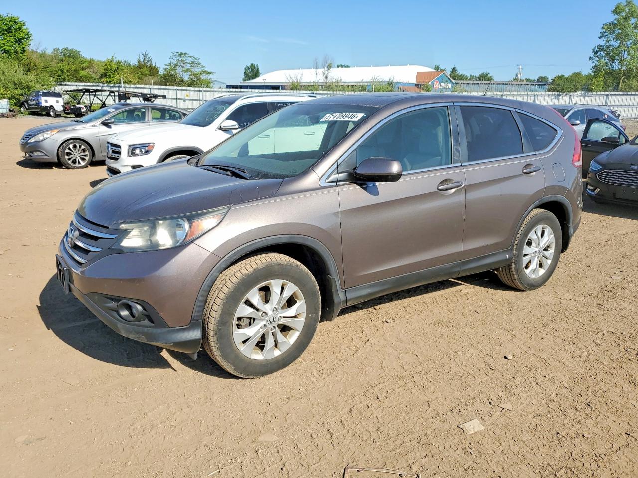 Salvage Honda Crv Image