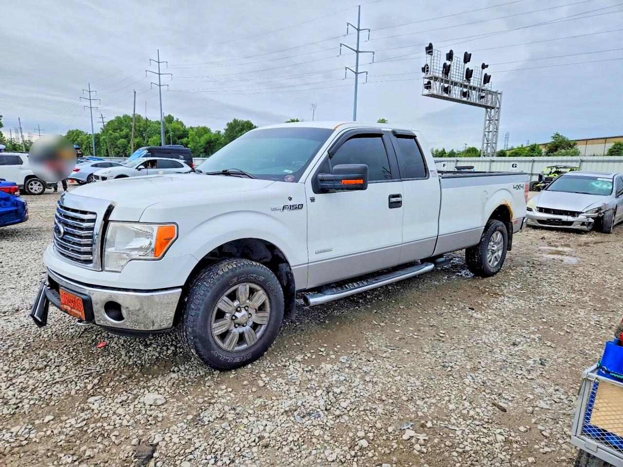 Salvage Ford F-150 Image