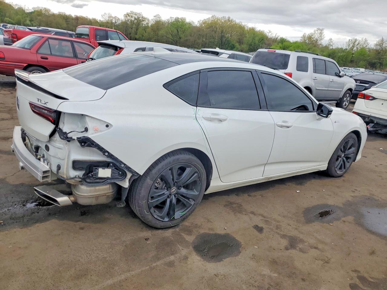 Acura TLX Tech A