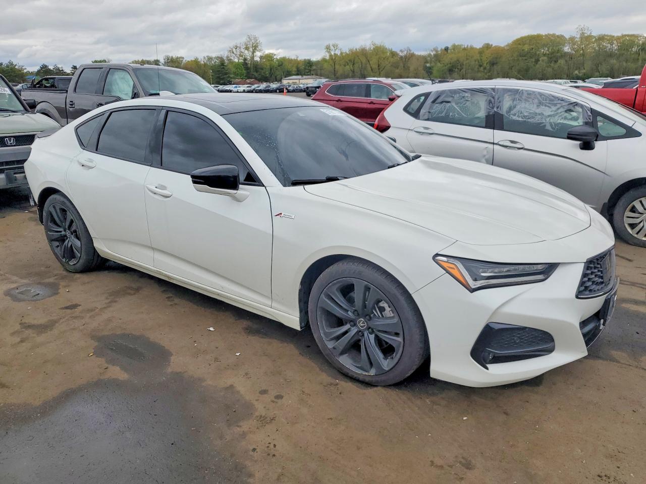 Acura TLX Tech A