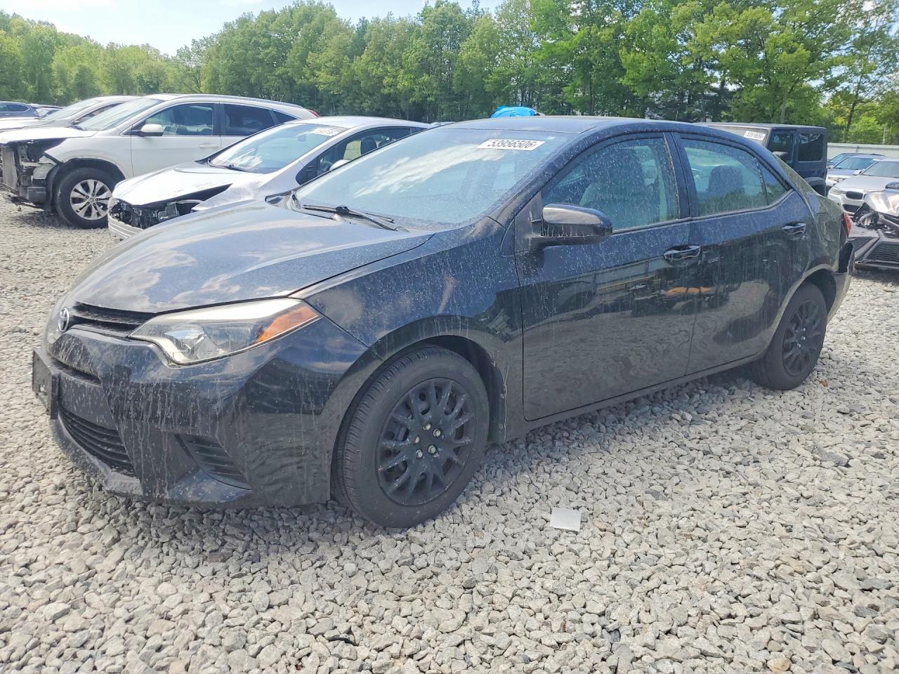 Salvage Toyota Corolla Image