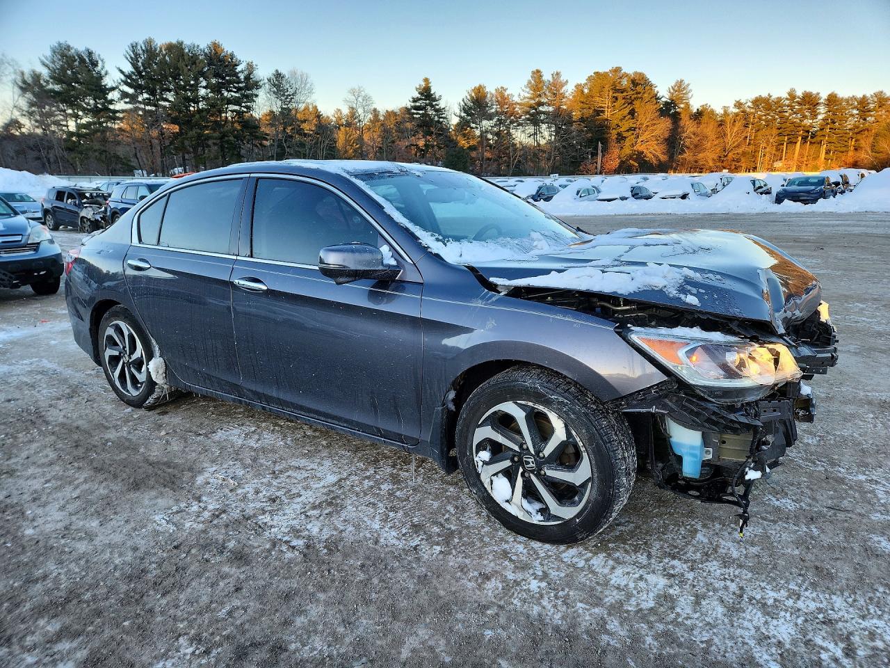 Honda Accord Exl