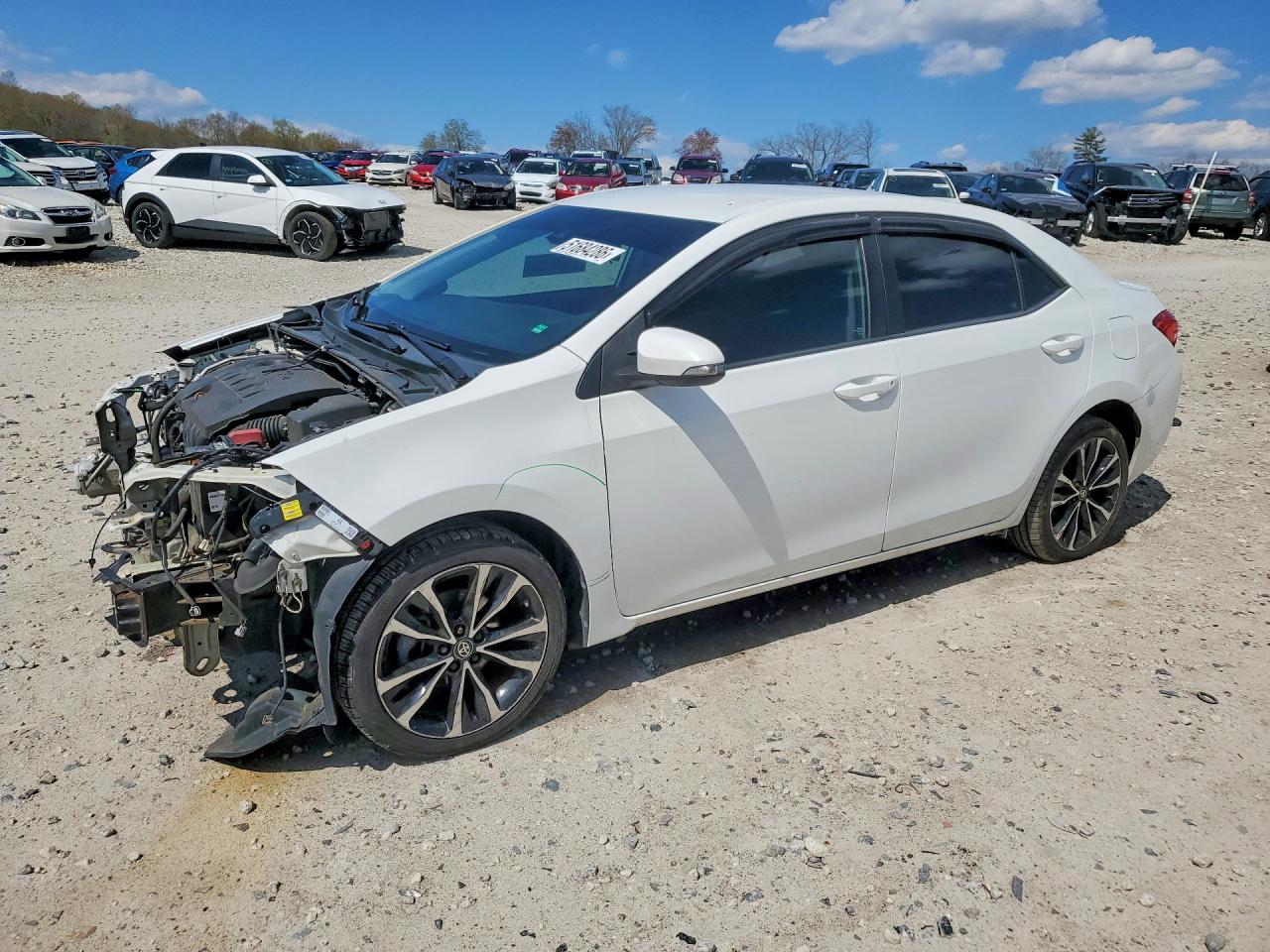 Salvage Toyota Corolla Image