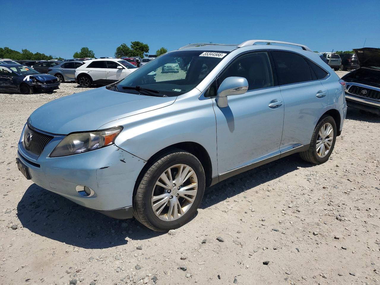 Salvage Lexus RX Image