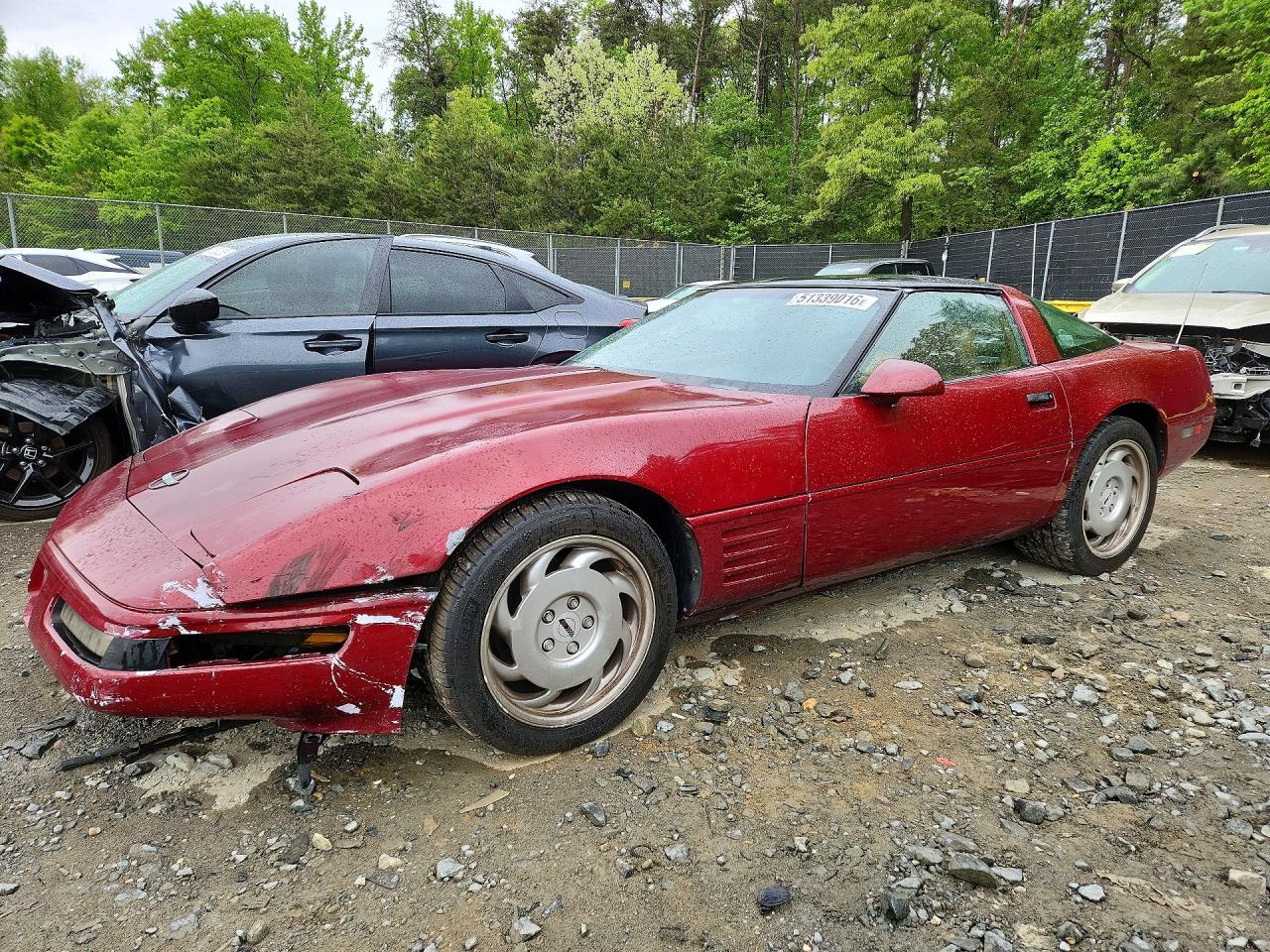 Salvage Chevrolet Corvette Image