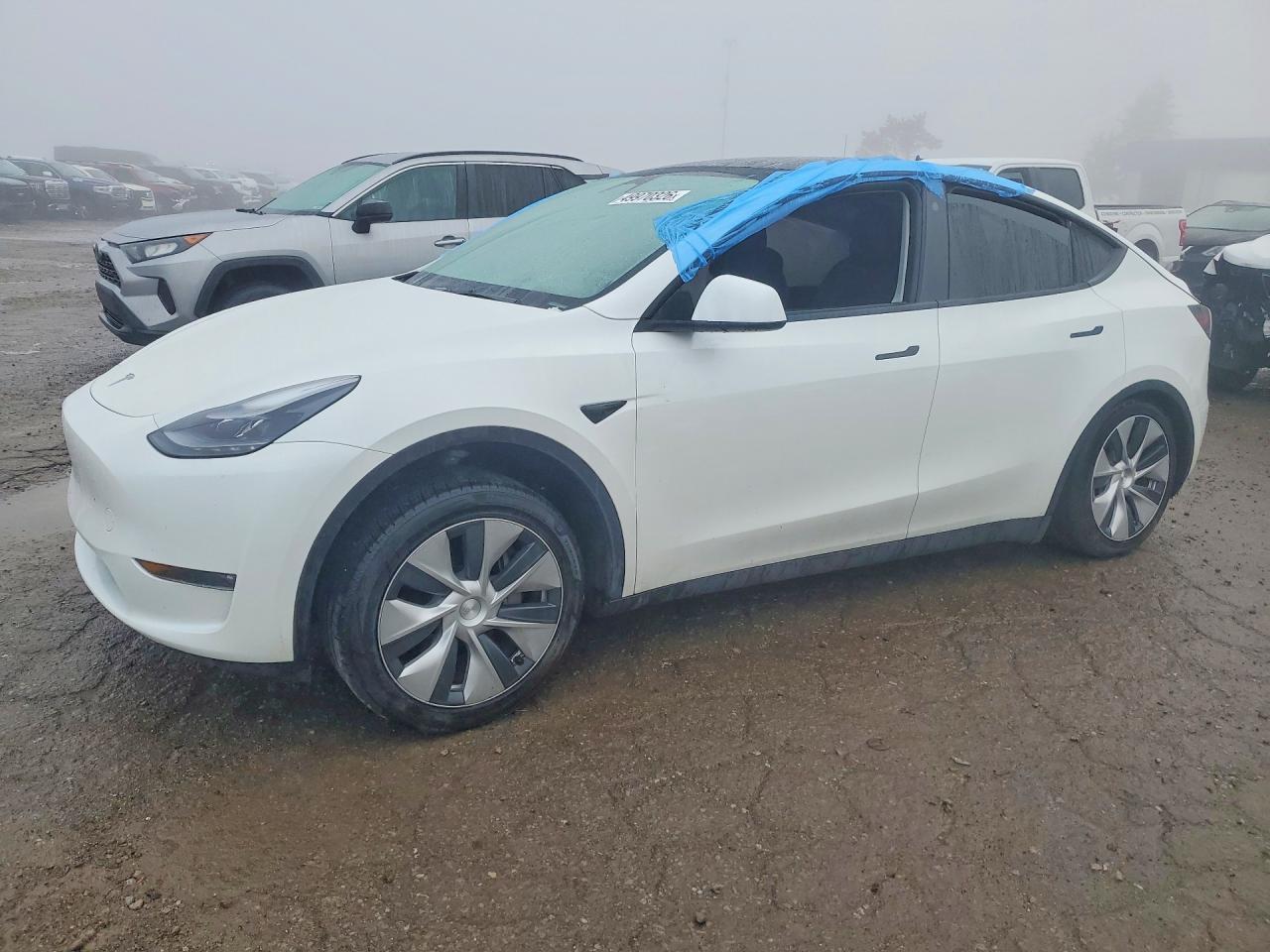 Salvage Tesla Model Y Image