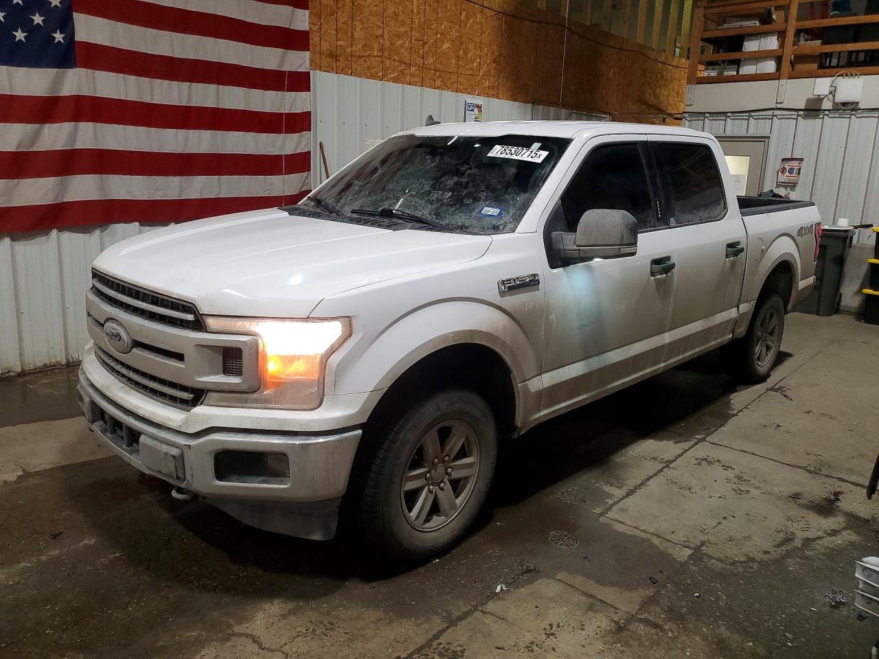 Salvage Ford F-150 Image