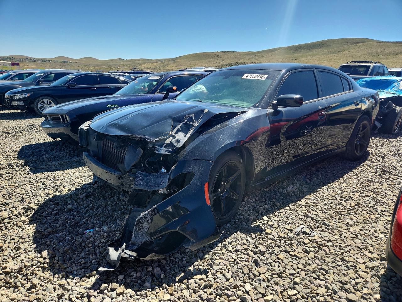 Salvage Dodge Charger Image
