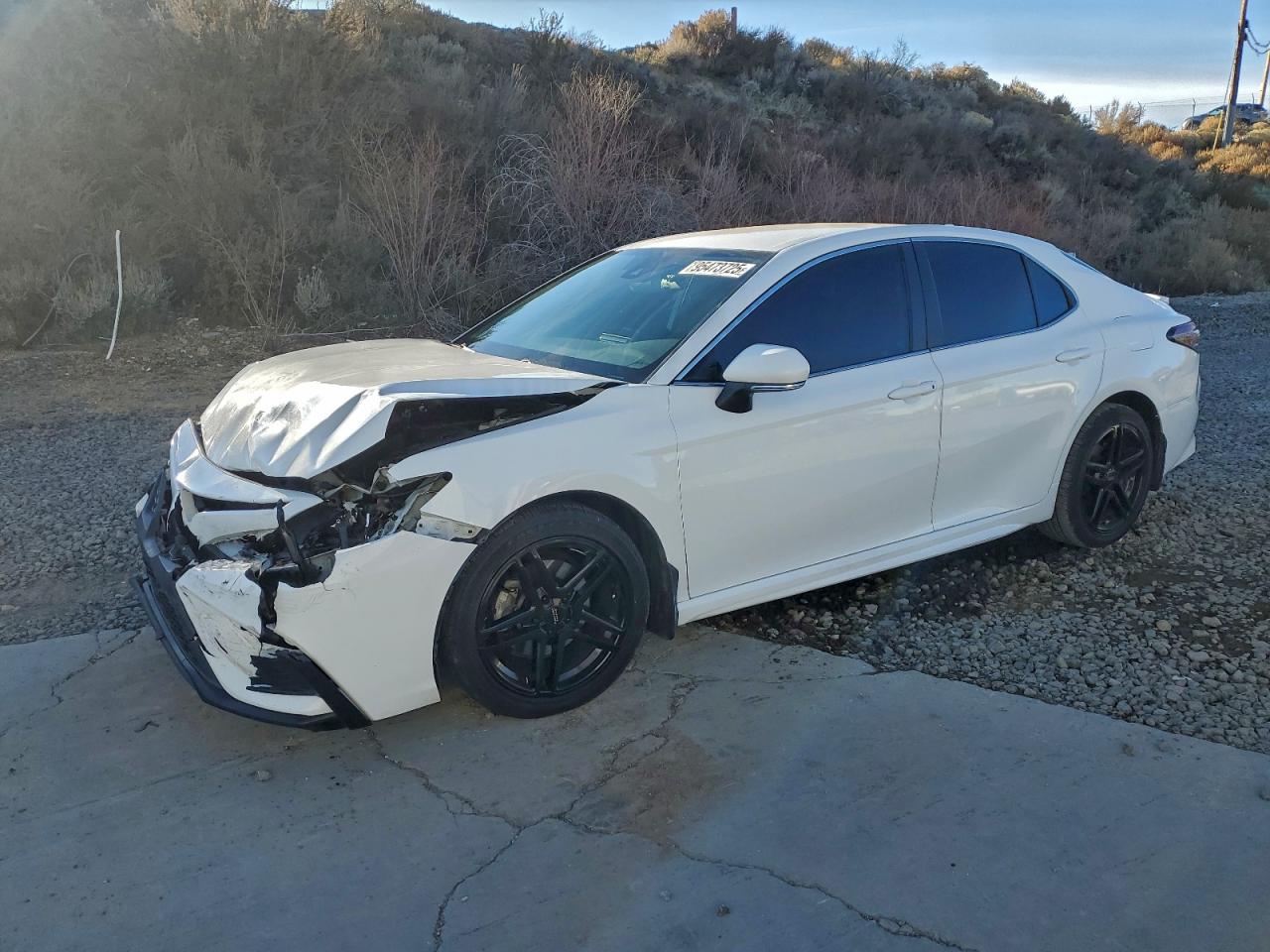 Salvage Toyota Camry Image