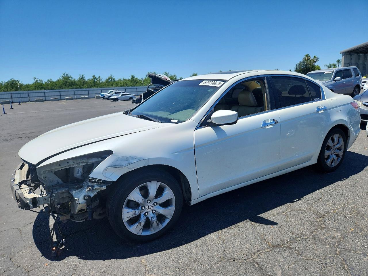 Salvage Honda Accord Image