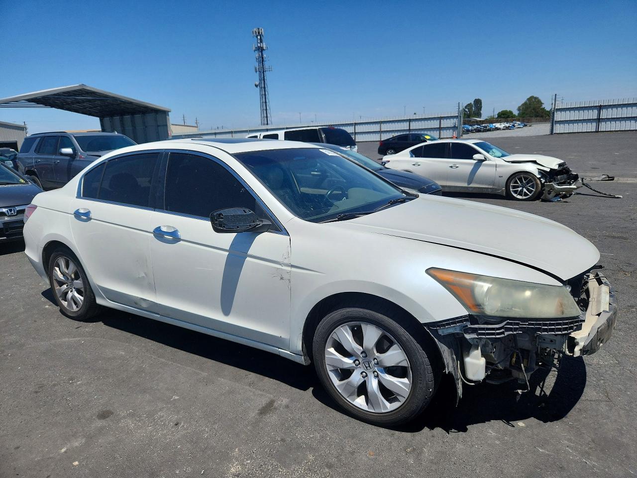 Honda Accord Exl