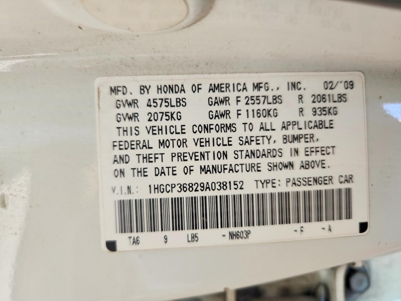 Honda Accord Exl