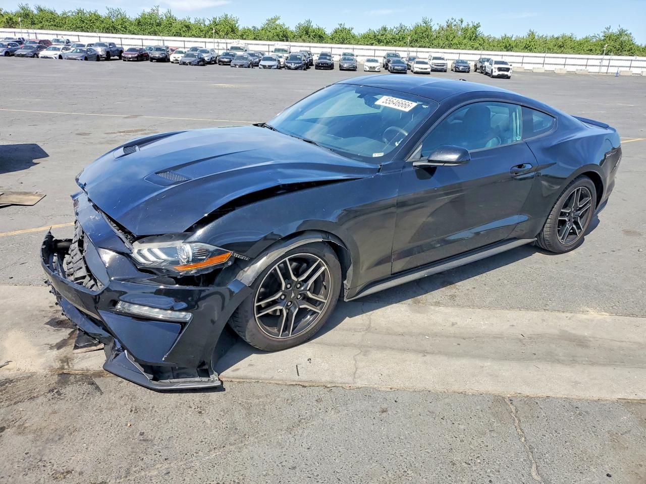 Salvage Ford Mustang Image