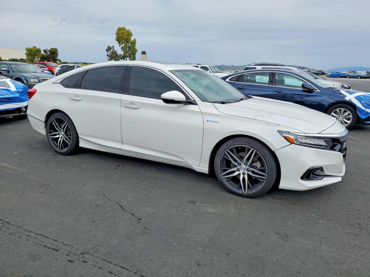 Honda Accord Touring Hybrid
