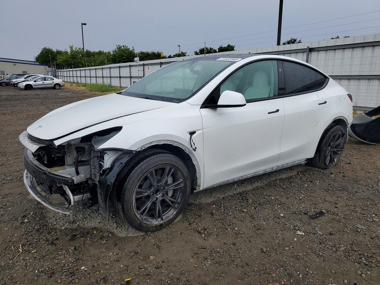 Salvage Tesla Model Y Image