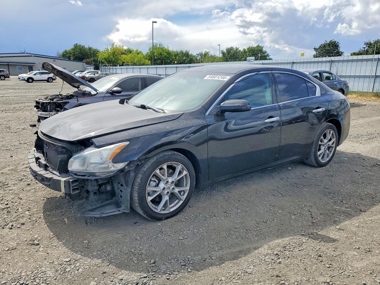 Salvage Nissan Maxima Image