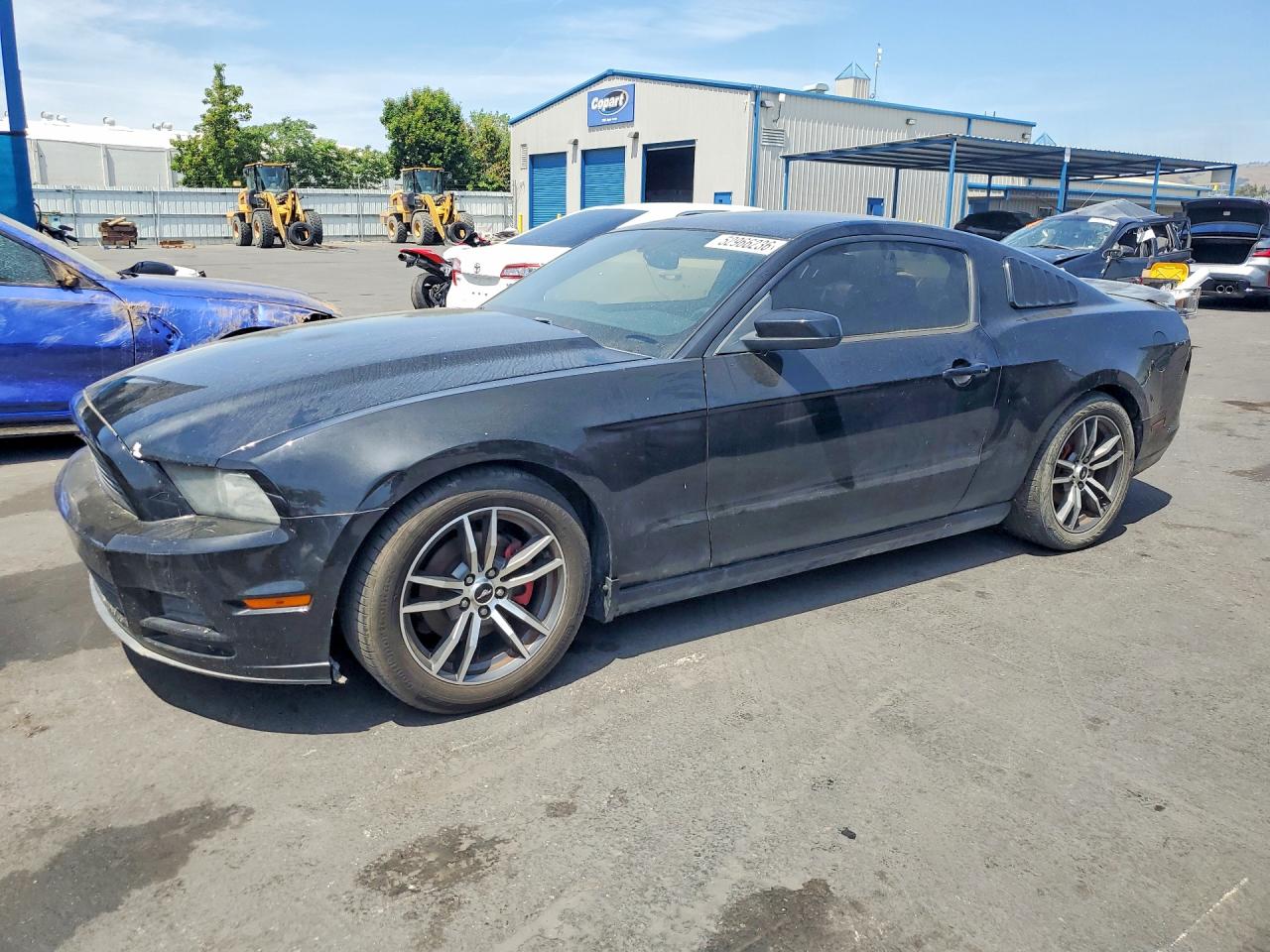 Salvage Ford Mustang Image