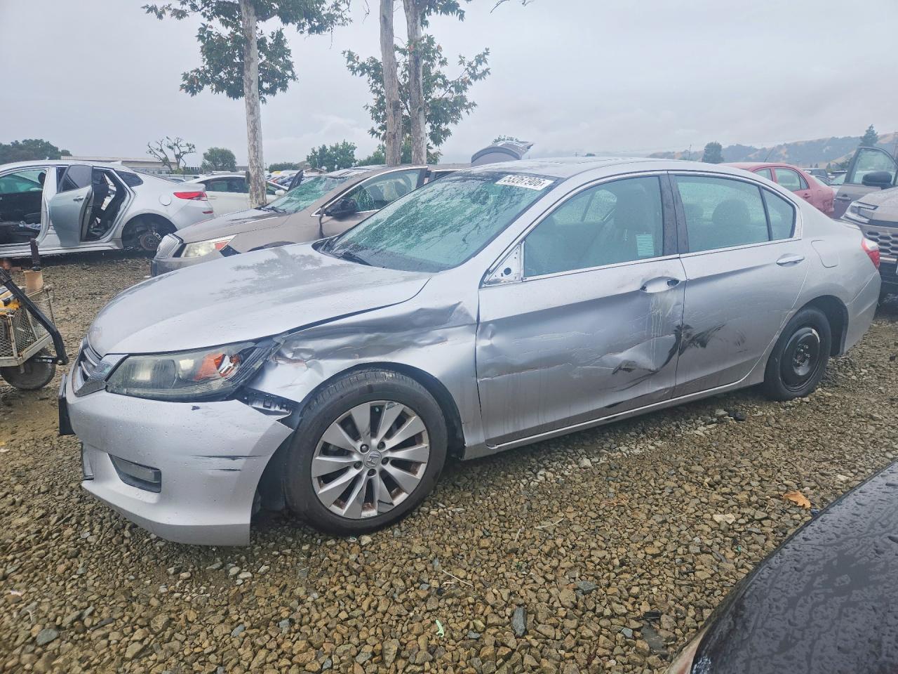 Salvage Honda Accord Image