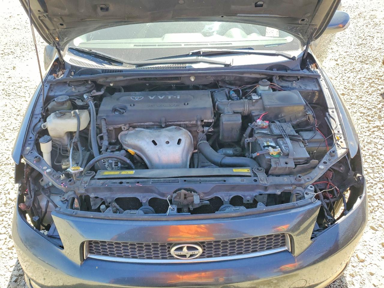 Scion TC Base