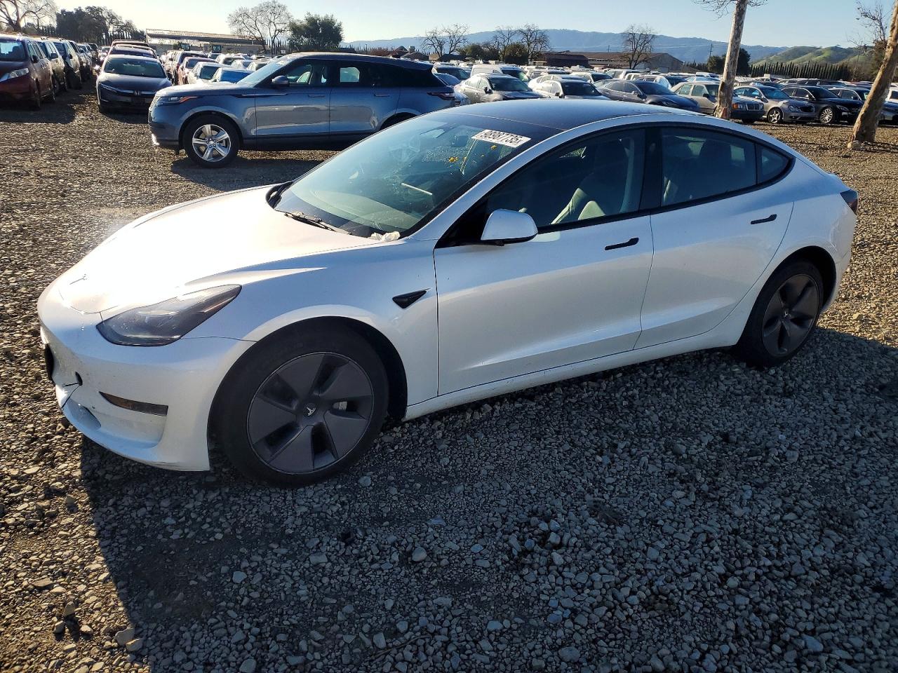 Salvage Tesla Model 3 Image