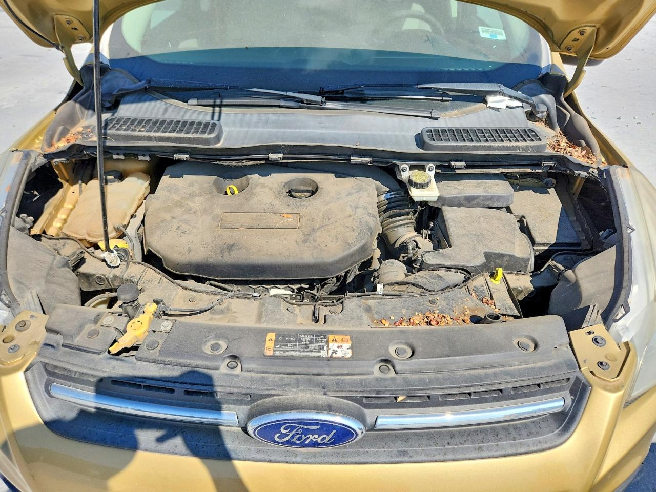Ford Escape Se
